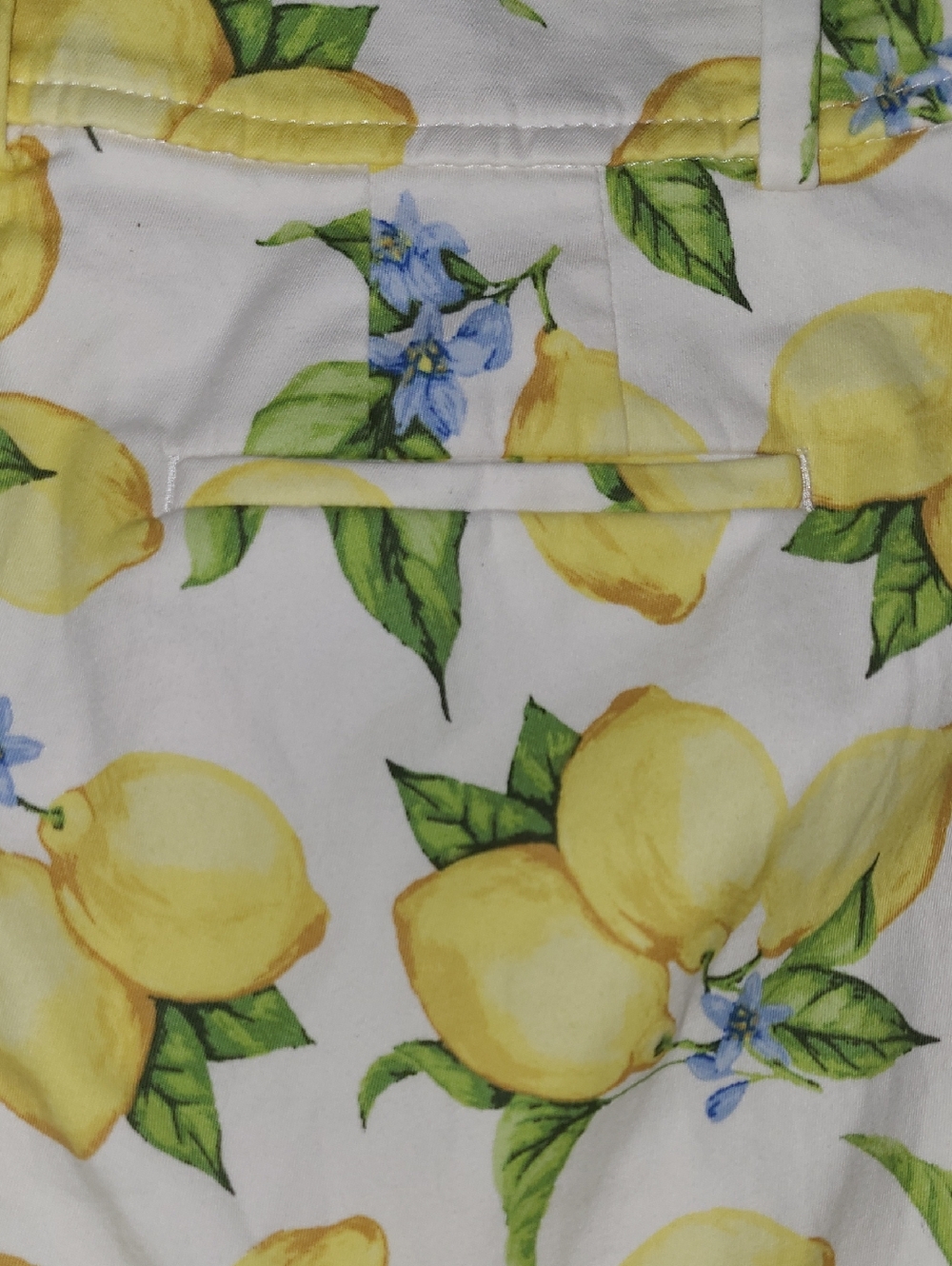 NWOT Talbots Petite White Lemon Print Shorts - Picture 7 of 8